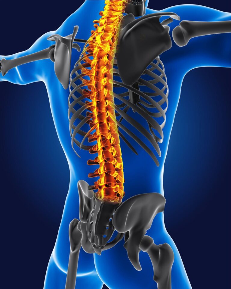 Understanding the connection between chiropractic care and nervous system function